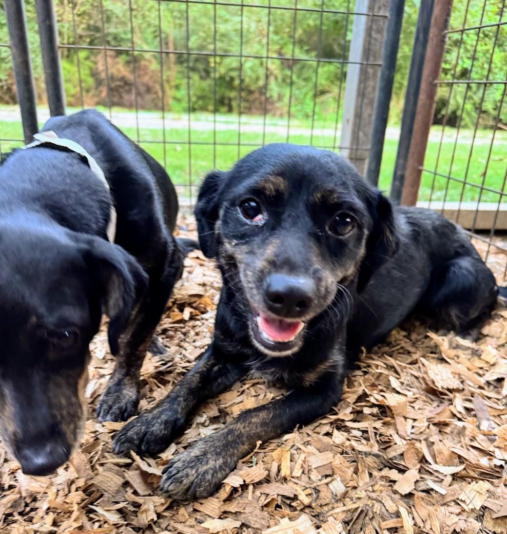 JENN — thumbnail 4