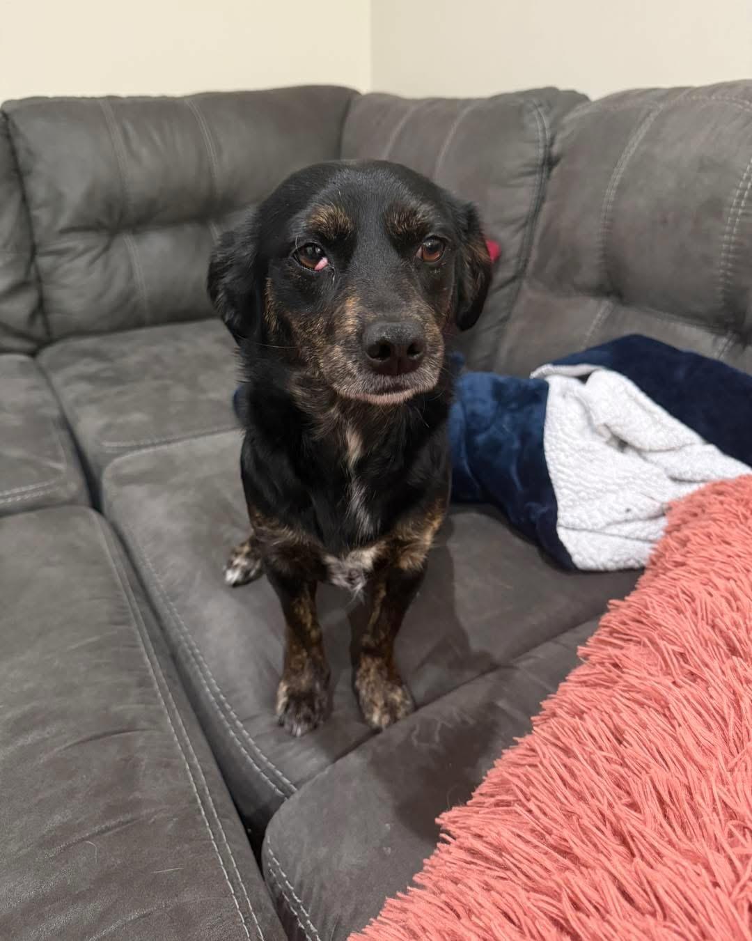 JENN — thumbnail 5