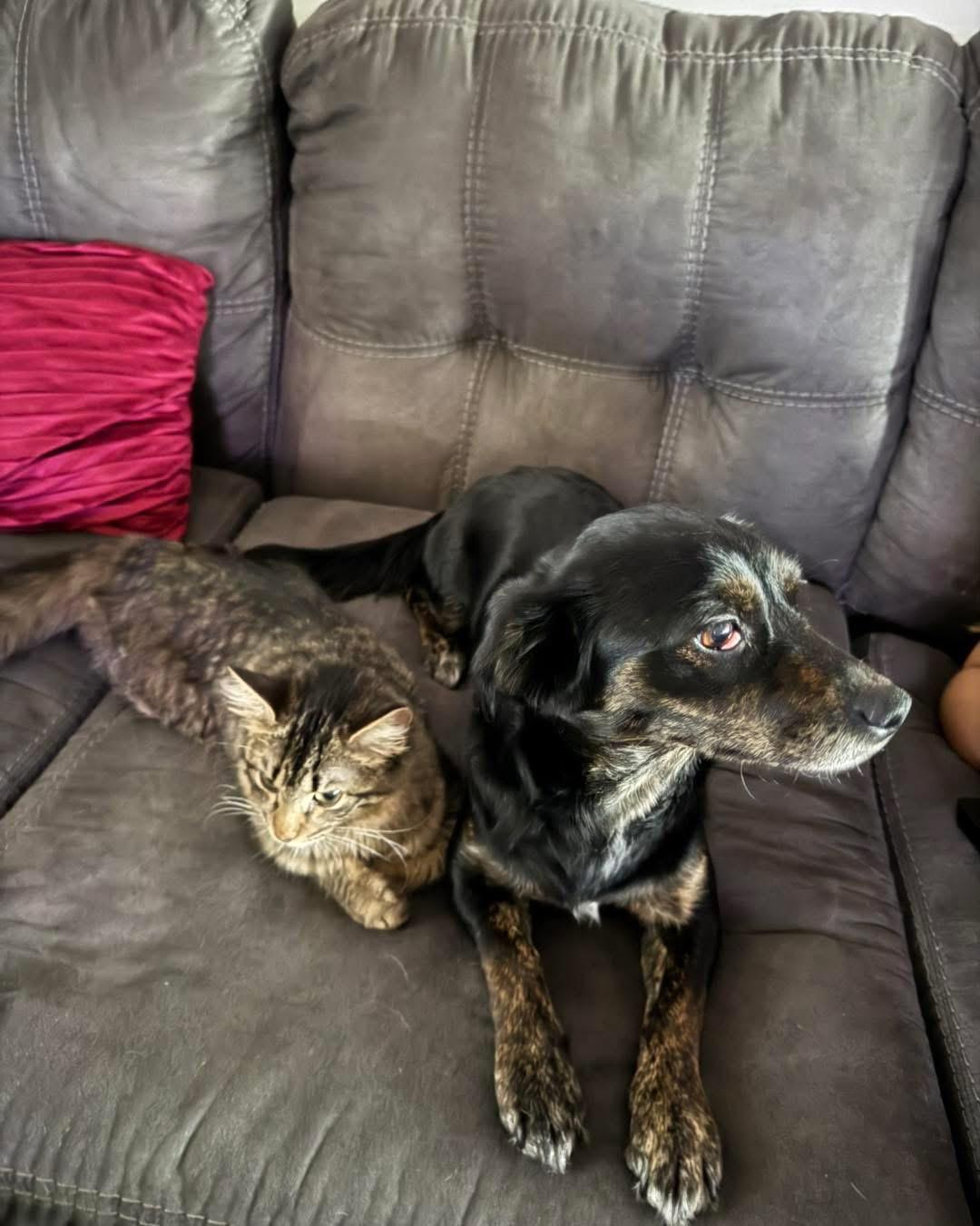 JENN — thumbnail 6