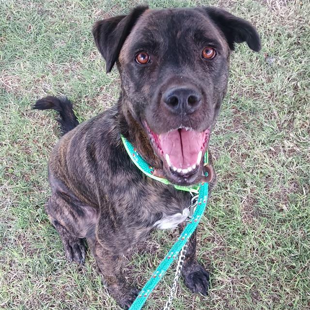 VICTOR* — thumbnail 3