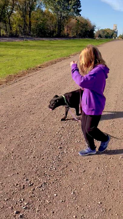 Enlarge Princess, a Adoptable mixed breed in Saint James, MN video 4/5