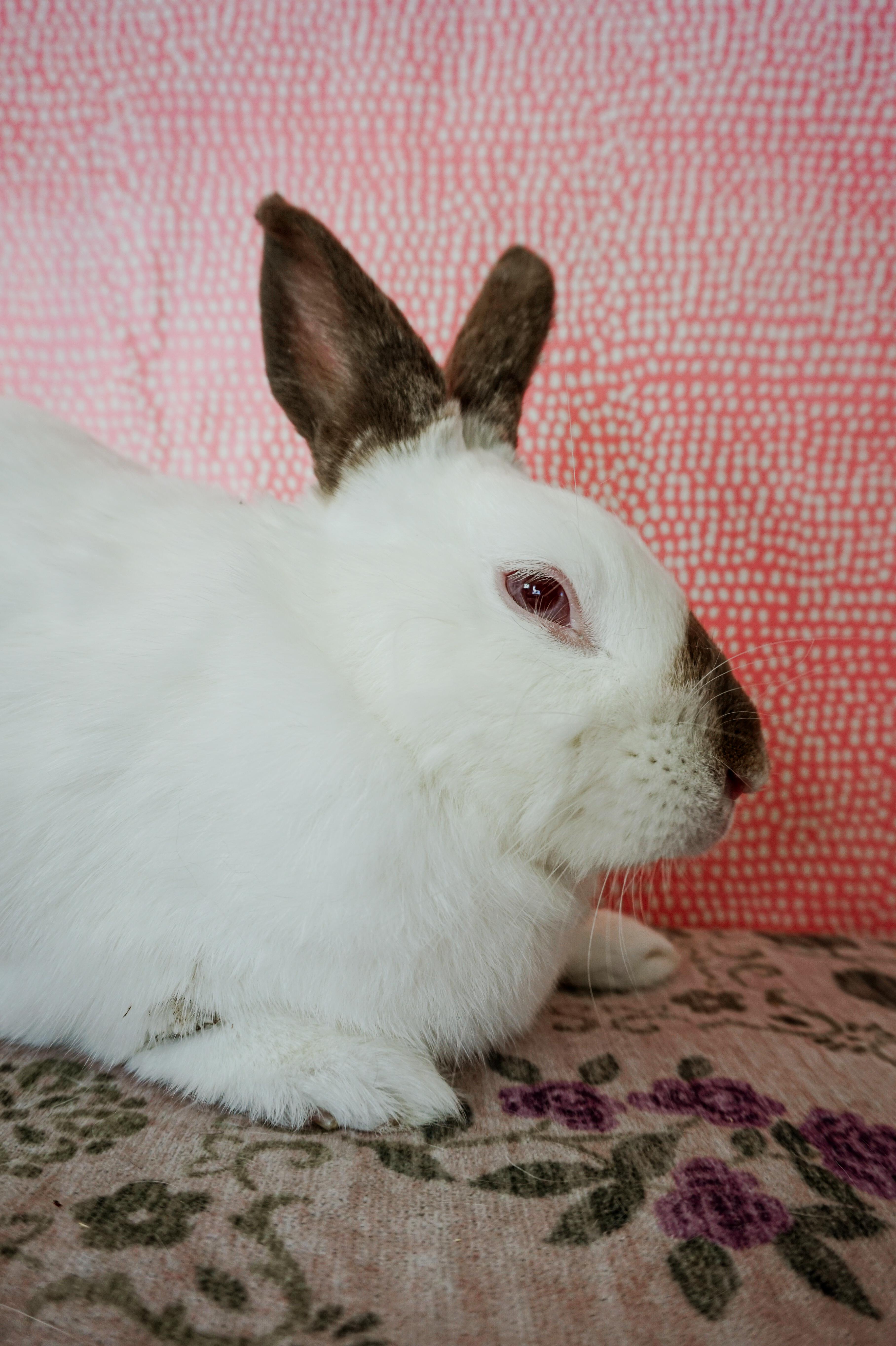 Owen photo