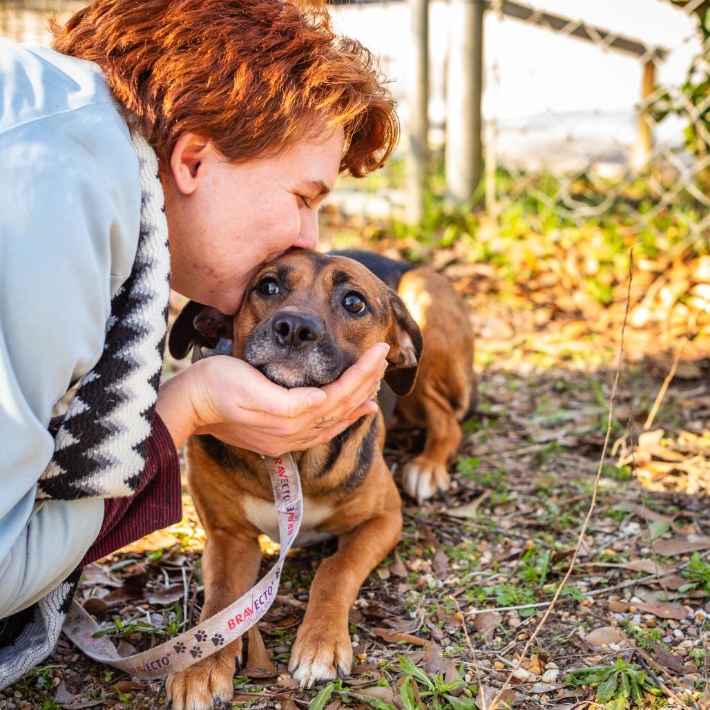 Butterfly, a Adoptable mixed breed in Hattiesburg, MS image 2/2
