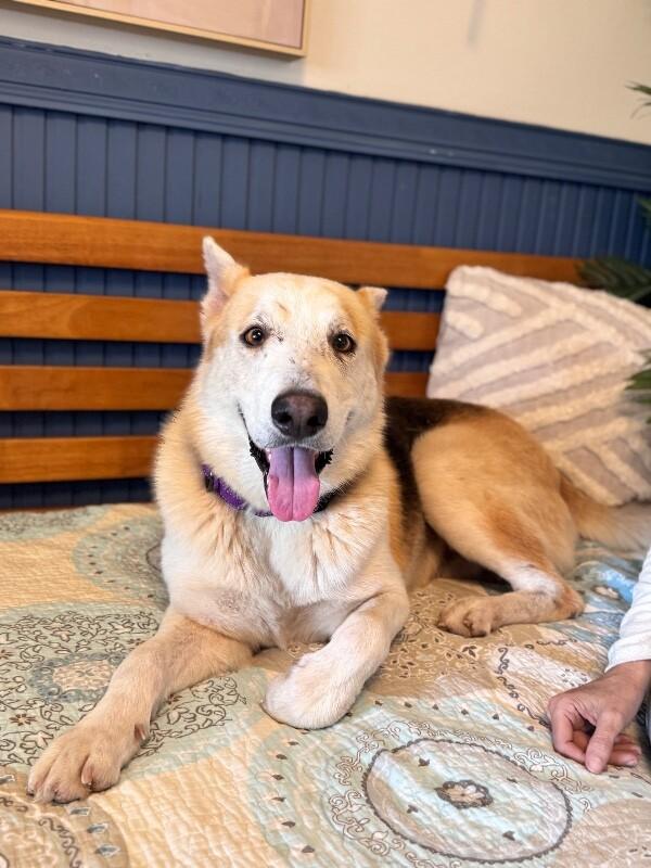 Hanky Pank — thumbnail 5