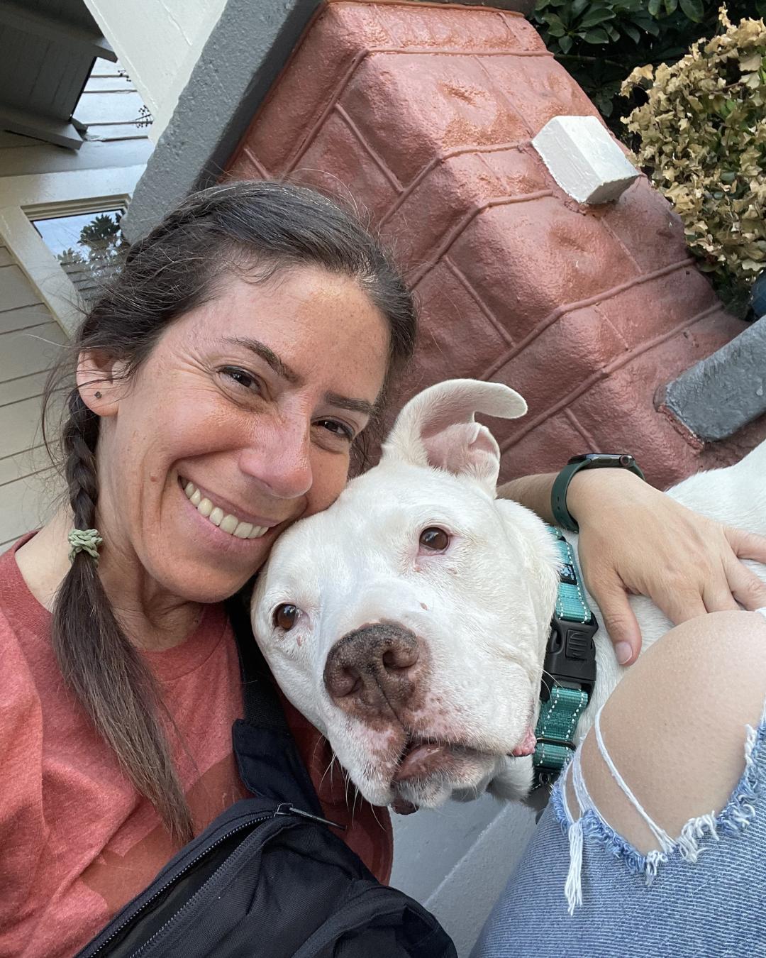 Howie, a Adoptable Pit Bull Terrier in Long Beach, CA image 4/5