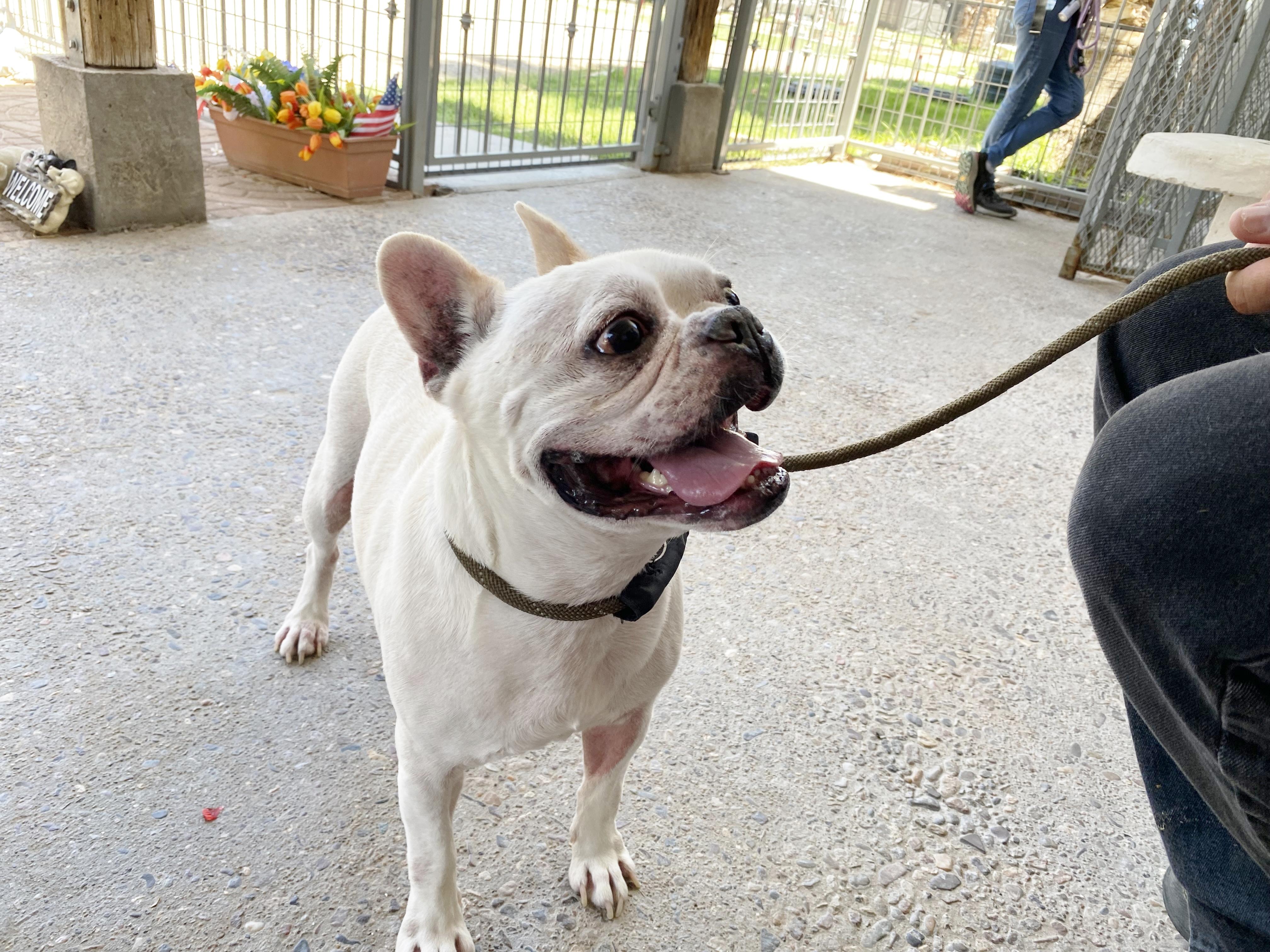 Franklin photo 2