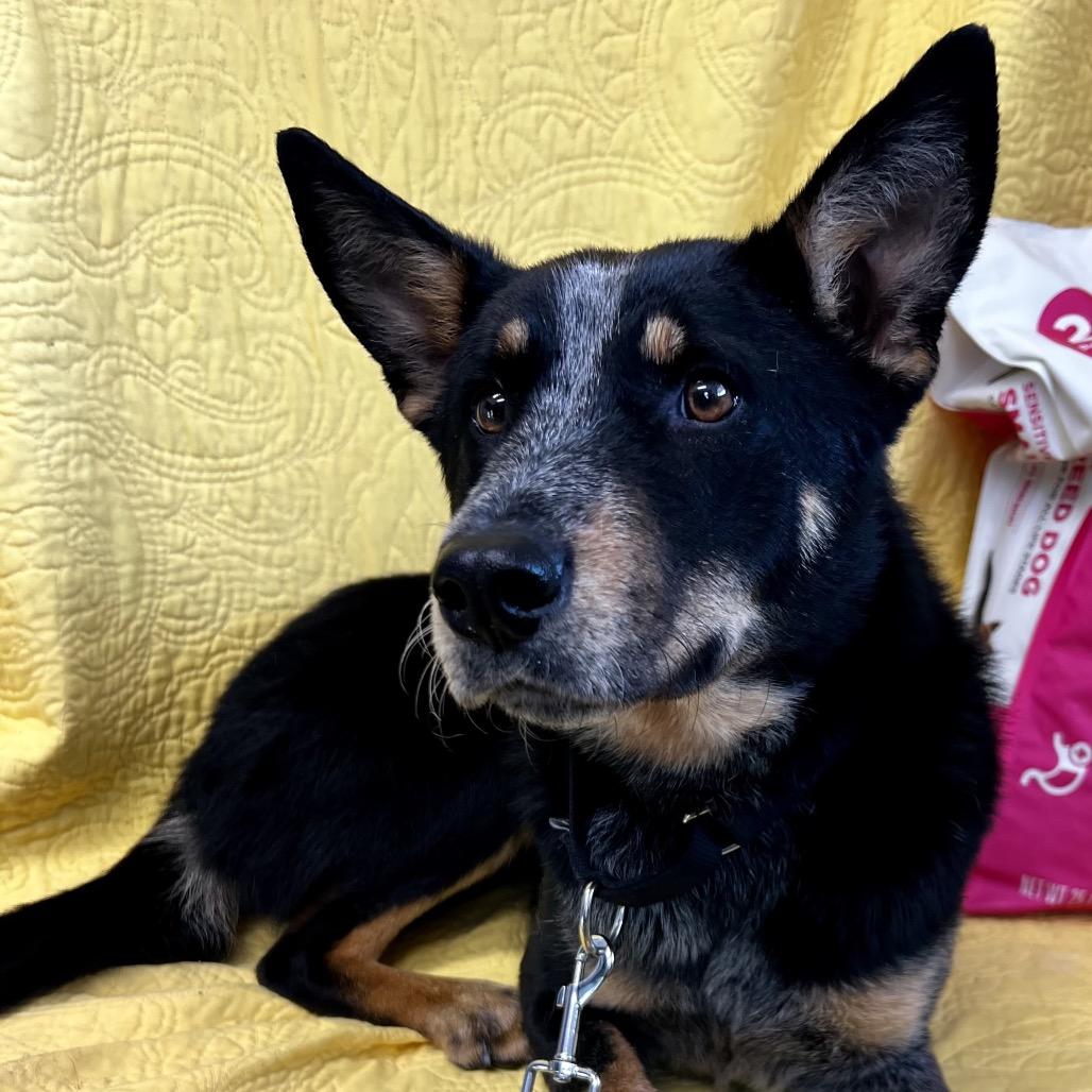 Ruby Happy Girl! thumbnail 4