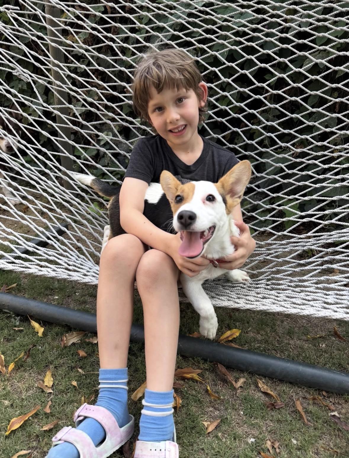 Enlarge McKinley , a ADOPTABLE mixed breed in Pasadena, CA image 3/6