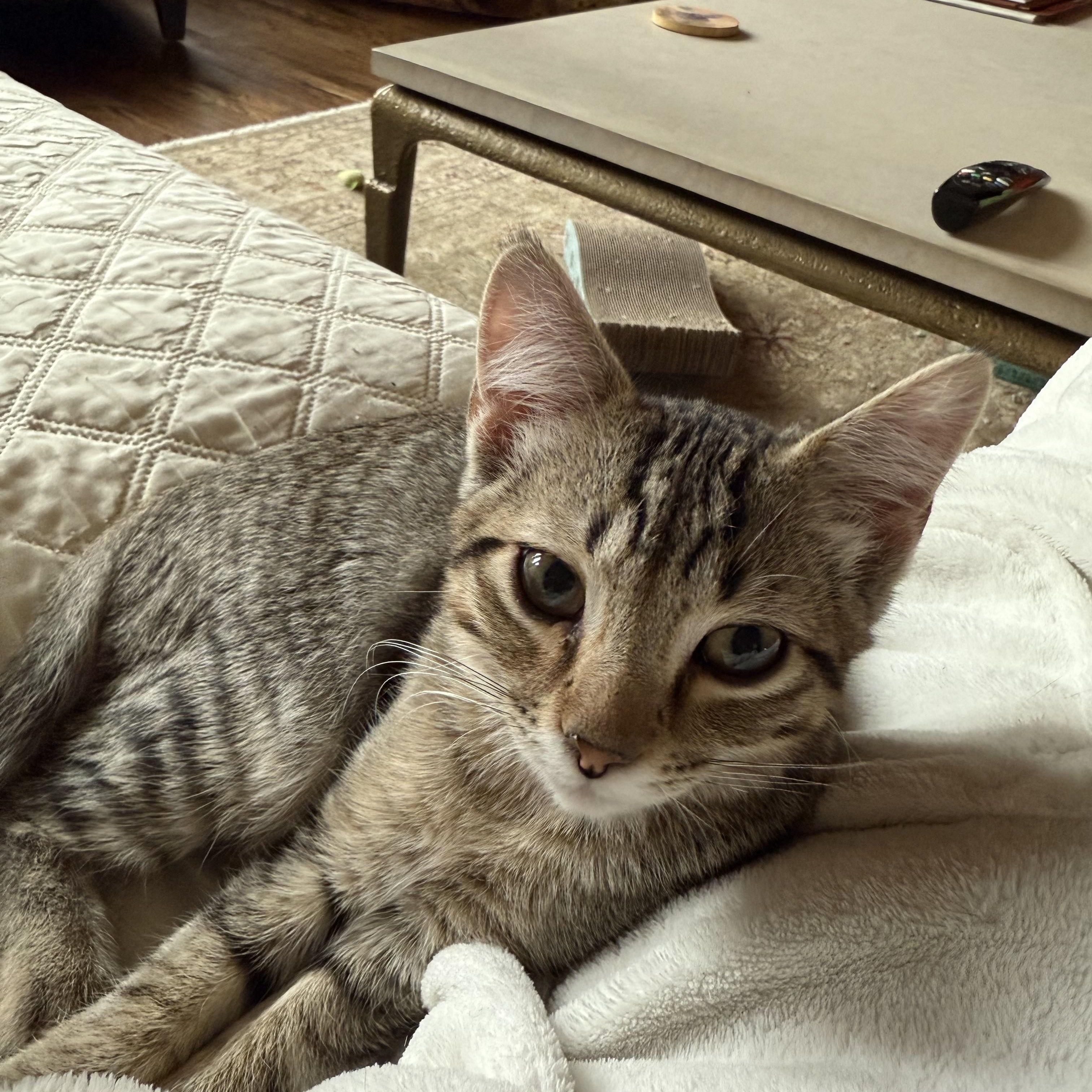 Tony