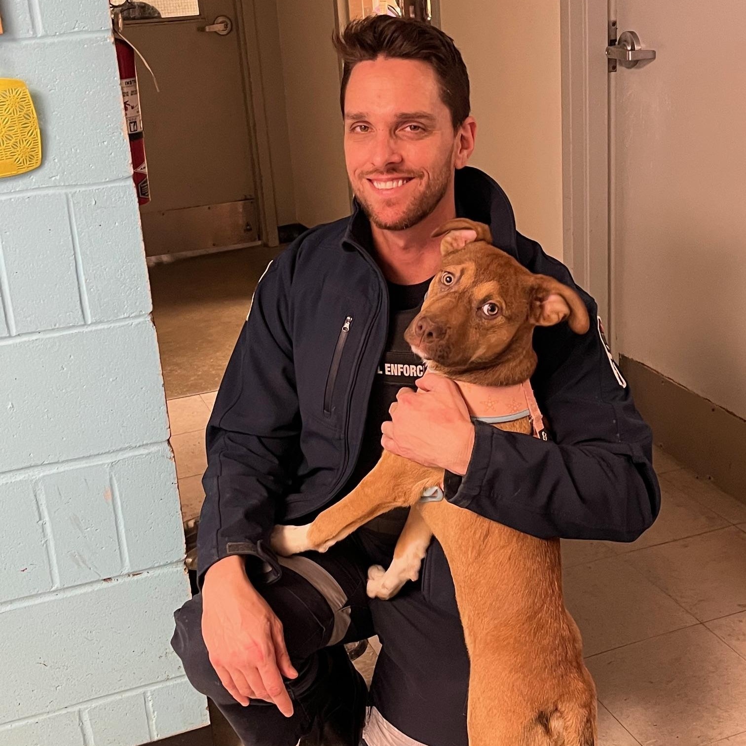 Donnie Barko , a ADOPTABLE mixed breed in St Thomas, ON image 1/6