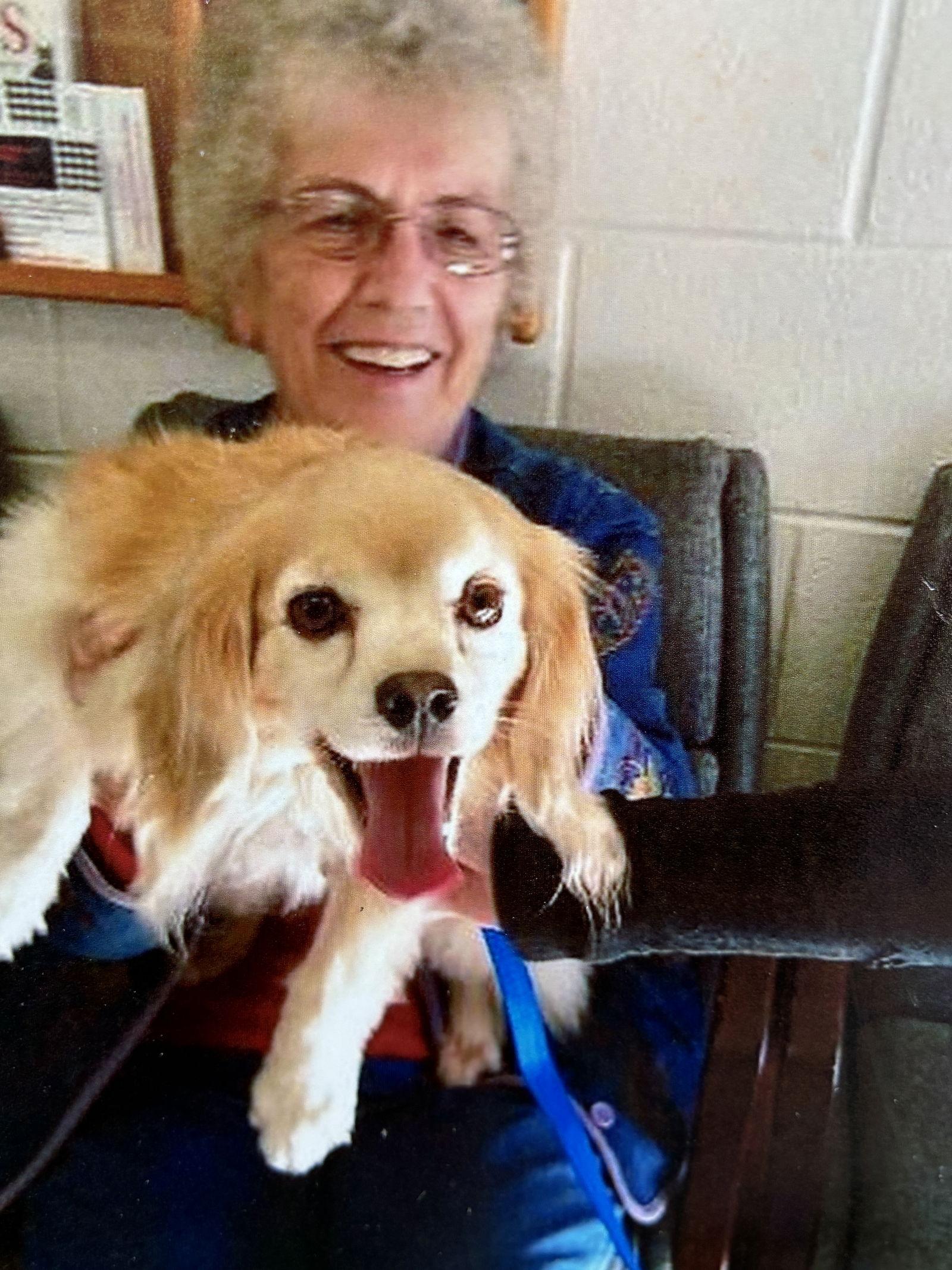 Enlarge Bucky, a Adoptable mixed breed in Middlesex, NC image 3/3