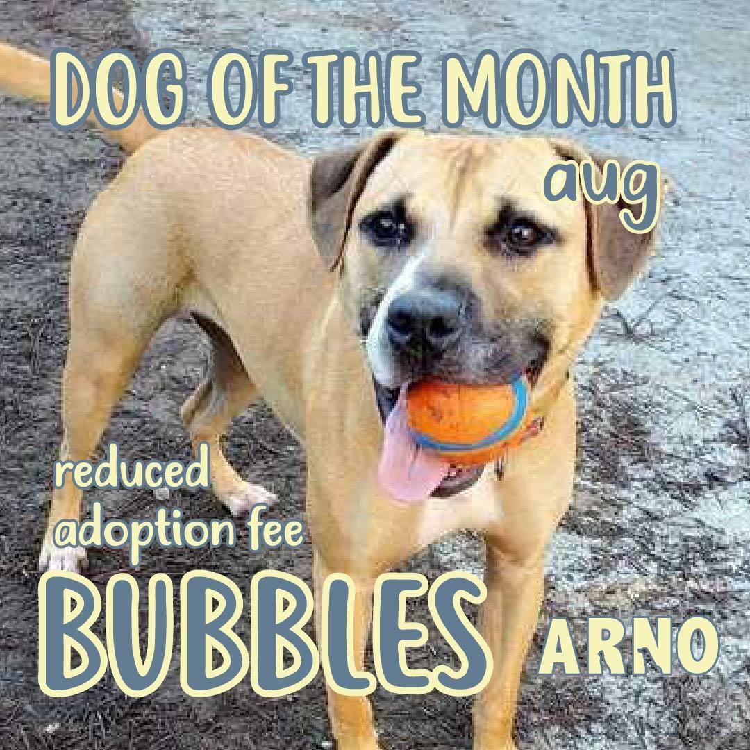 Bubbles (In Foster), Young Female unknown