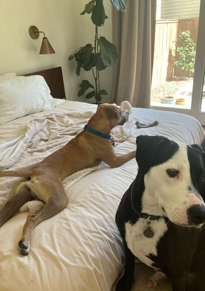 Bubbles (In Foster)