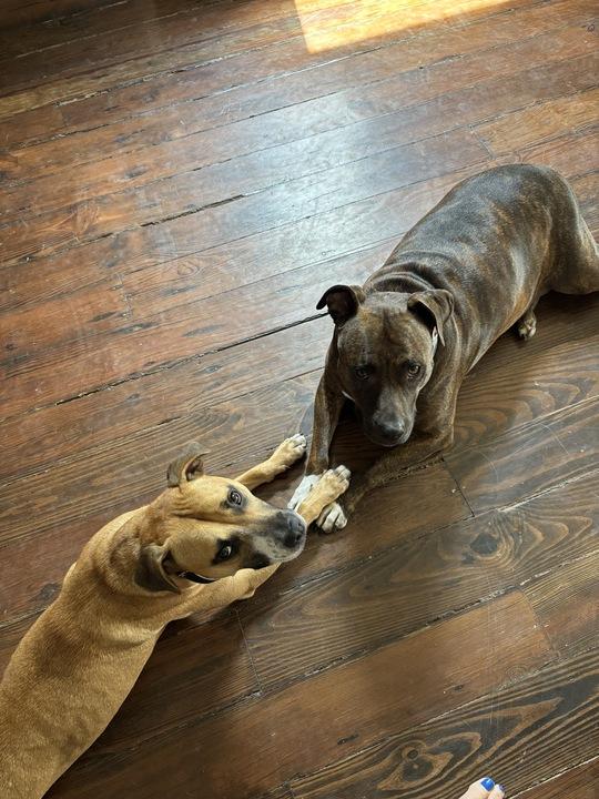 Bubbles (In Foster)