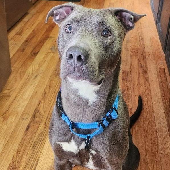 Jolly Rancher thumbnail 2