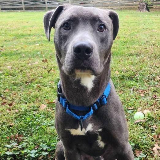 Jolly Rancher thumbnail 3