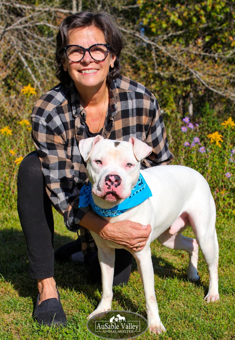 Enlarge Noah, a Adoptable Mixed Breed in Grayling, MI image 3/6