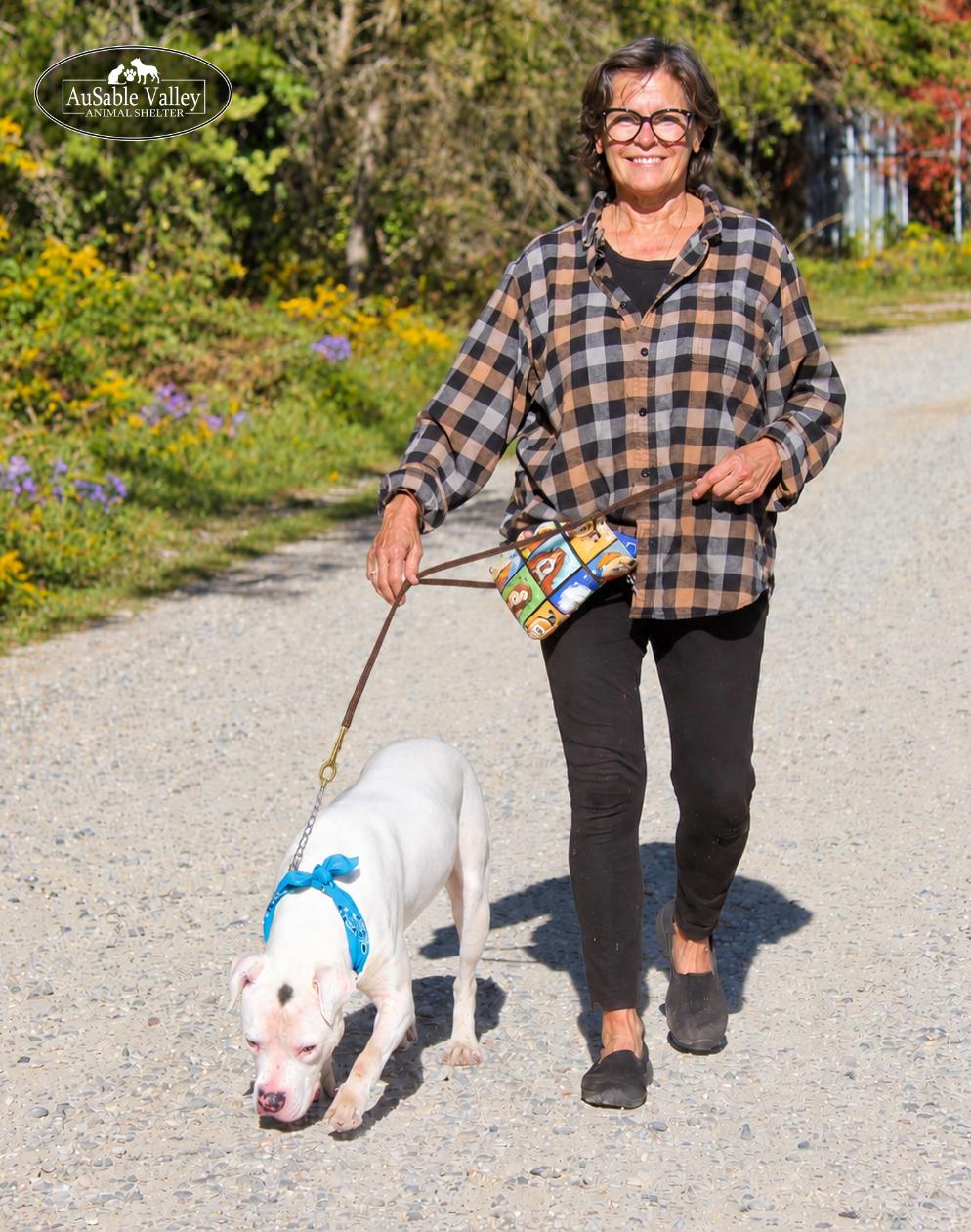 Enlarge Noah, a Adoptable Mixed Breed in Grayling, MI image 6/6