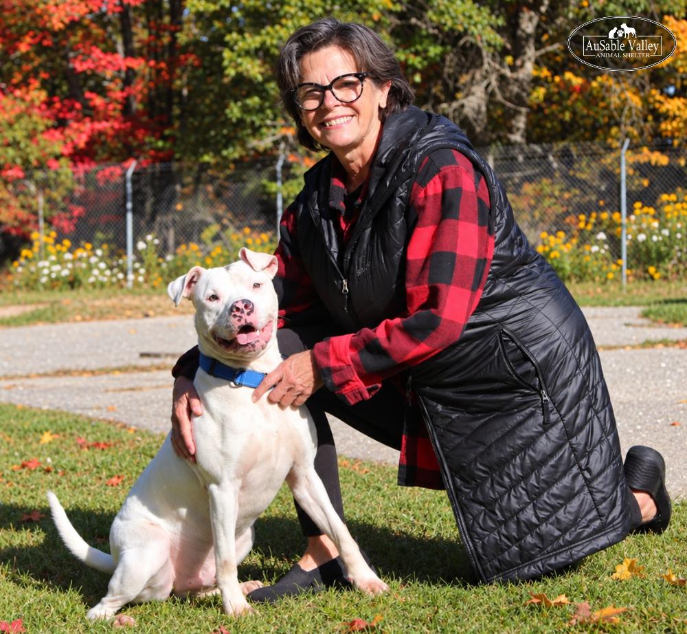 Enlarge Noah, a Adopted Mixed Breed in Grayling, MI image 5/6