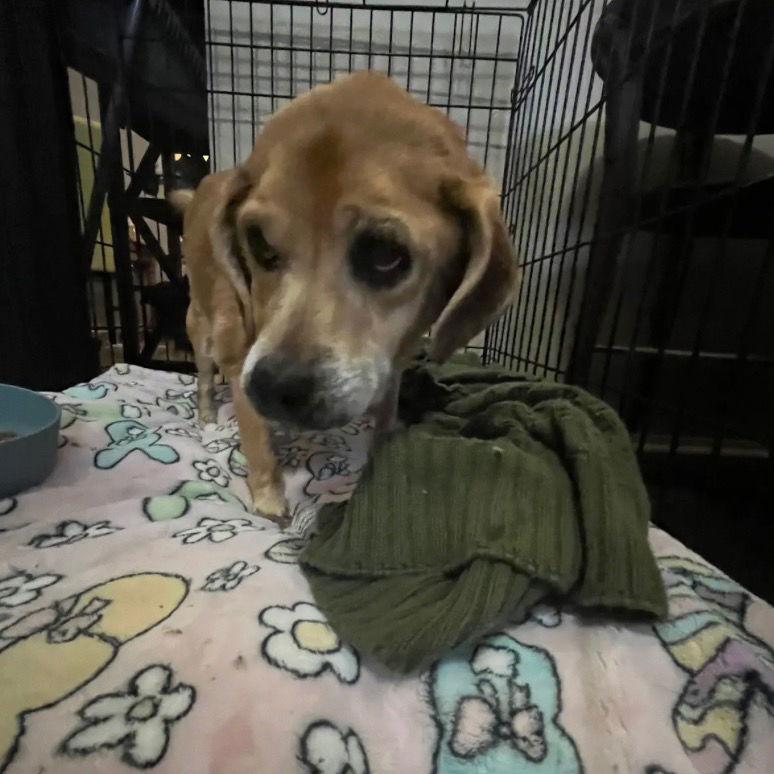 Molly — thumbnail 3