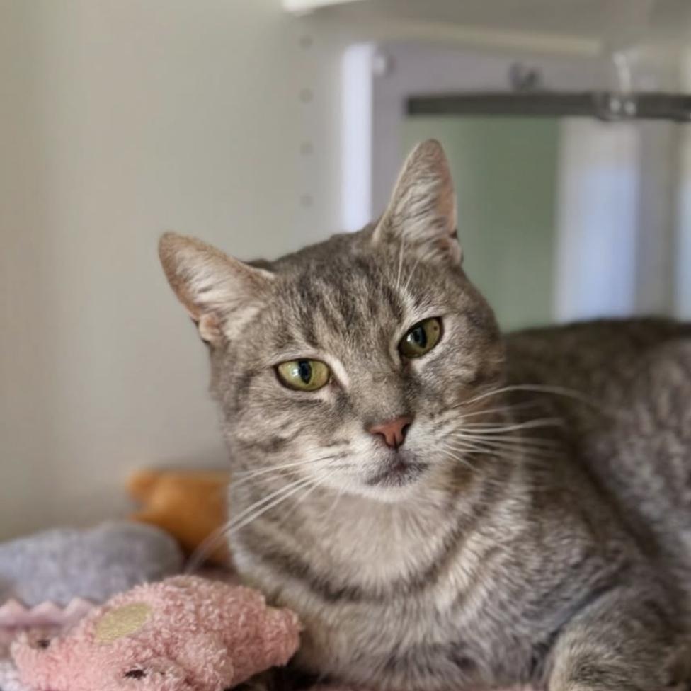 January — thumbnail 3