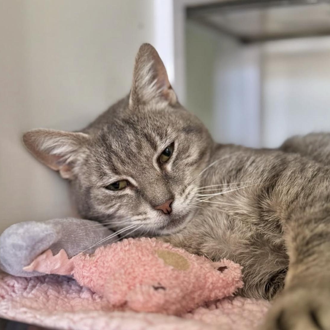 January — thumbnail 4