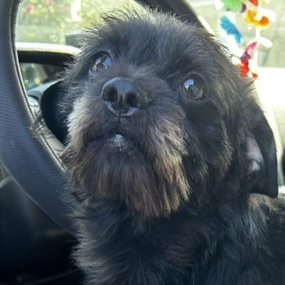 Toto photo