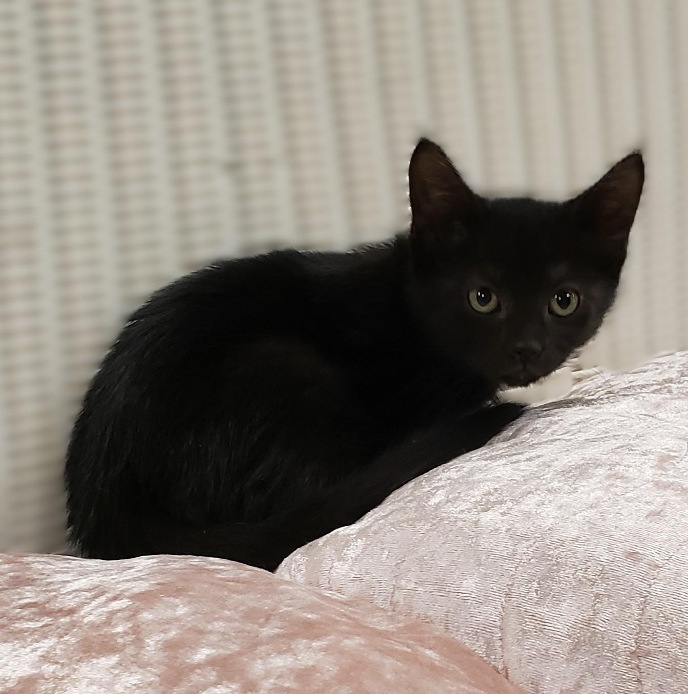 Luna