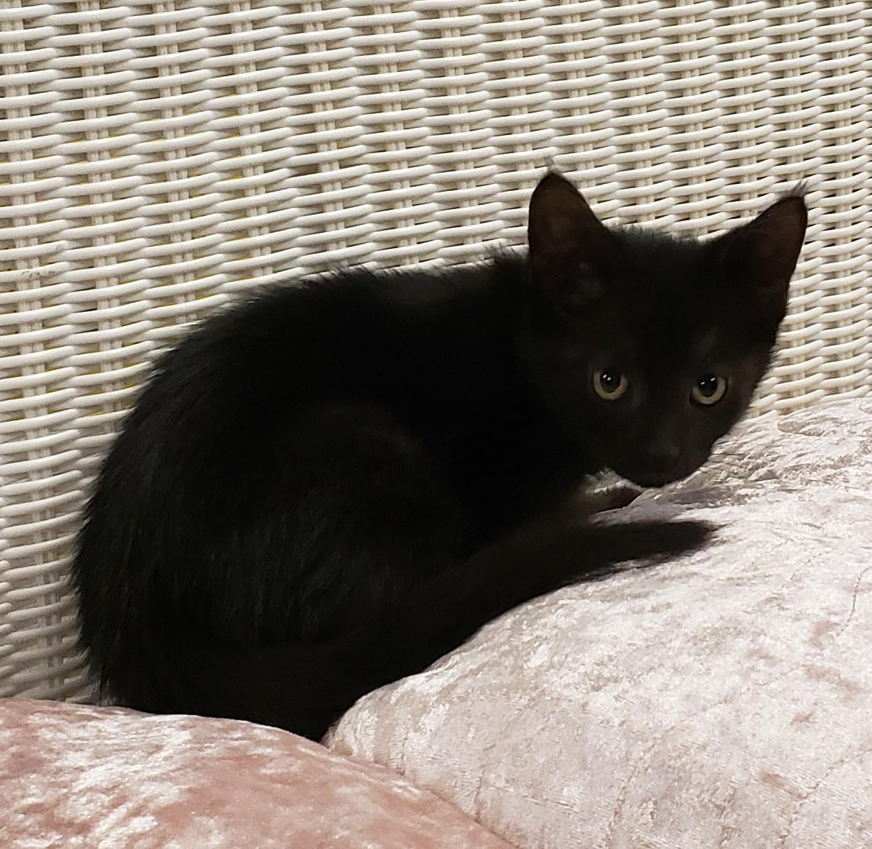 Luna