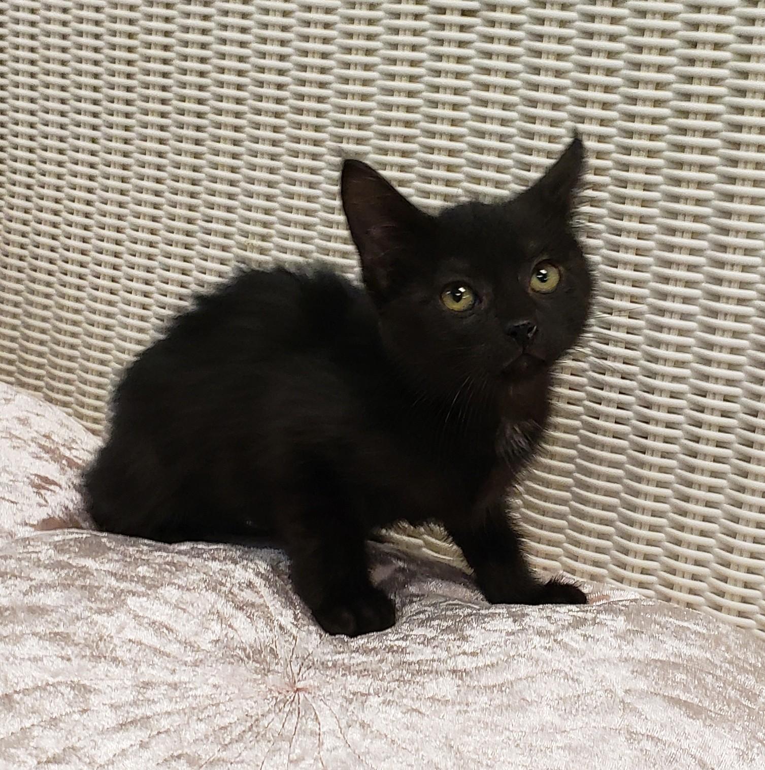 Luna