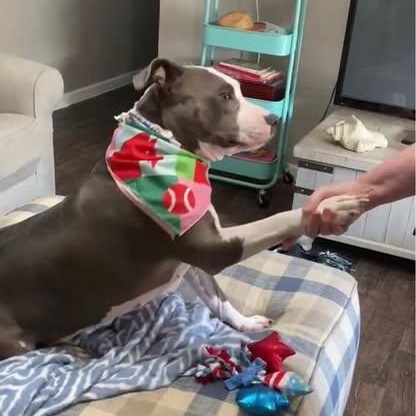 Chloe — thumbnail 4