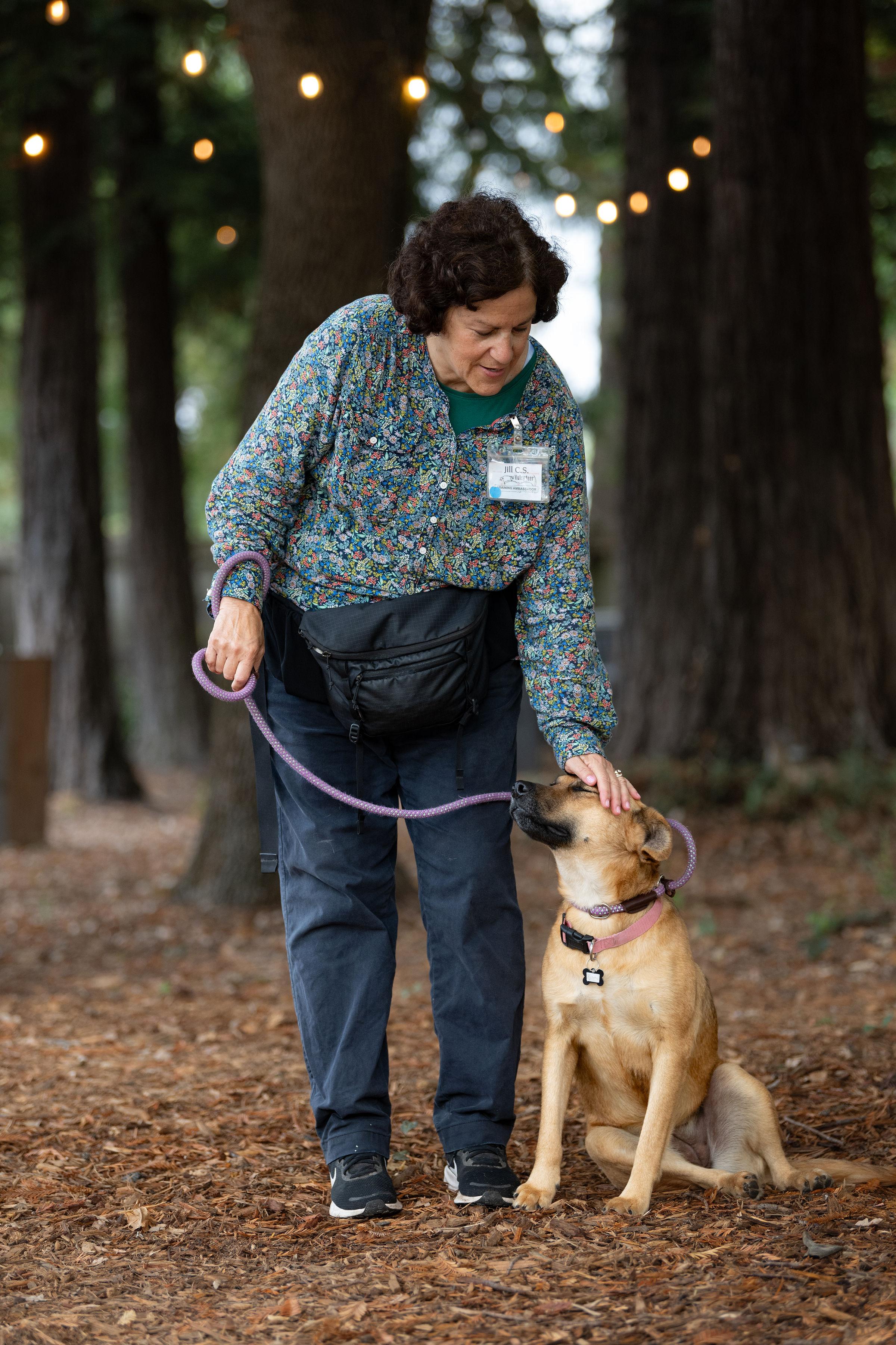 Renata, a Adoptable mixed breed in Santa Rosa, CA image 2/6
