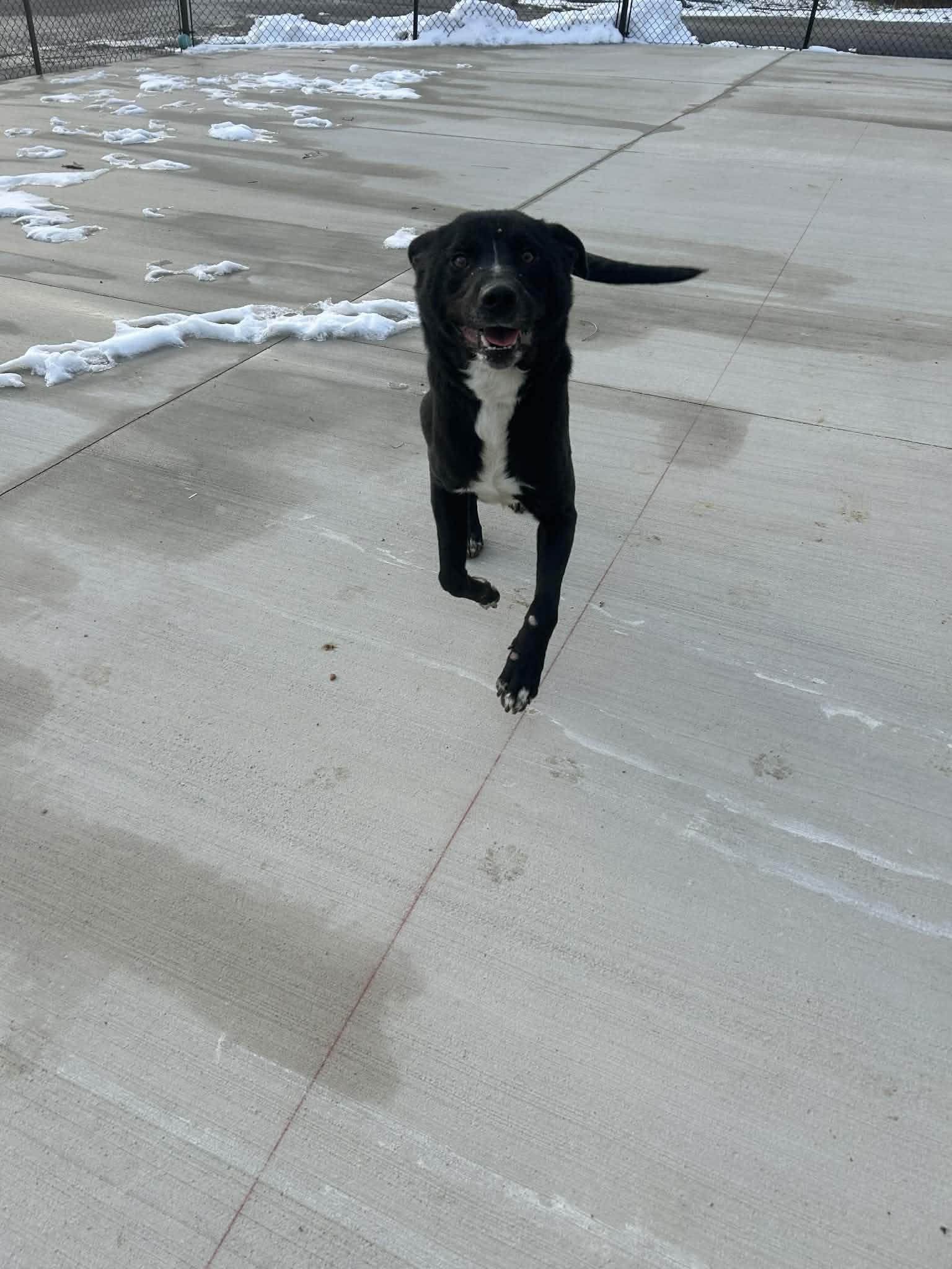 Encilada thumbnail 2