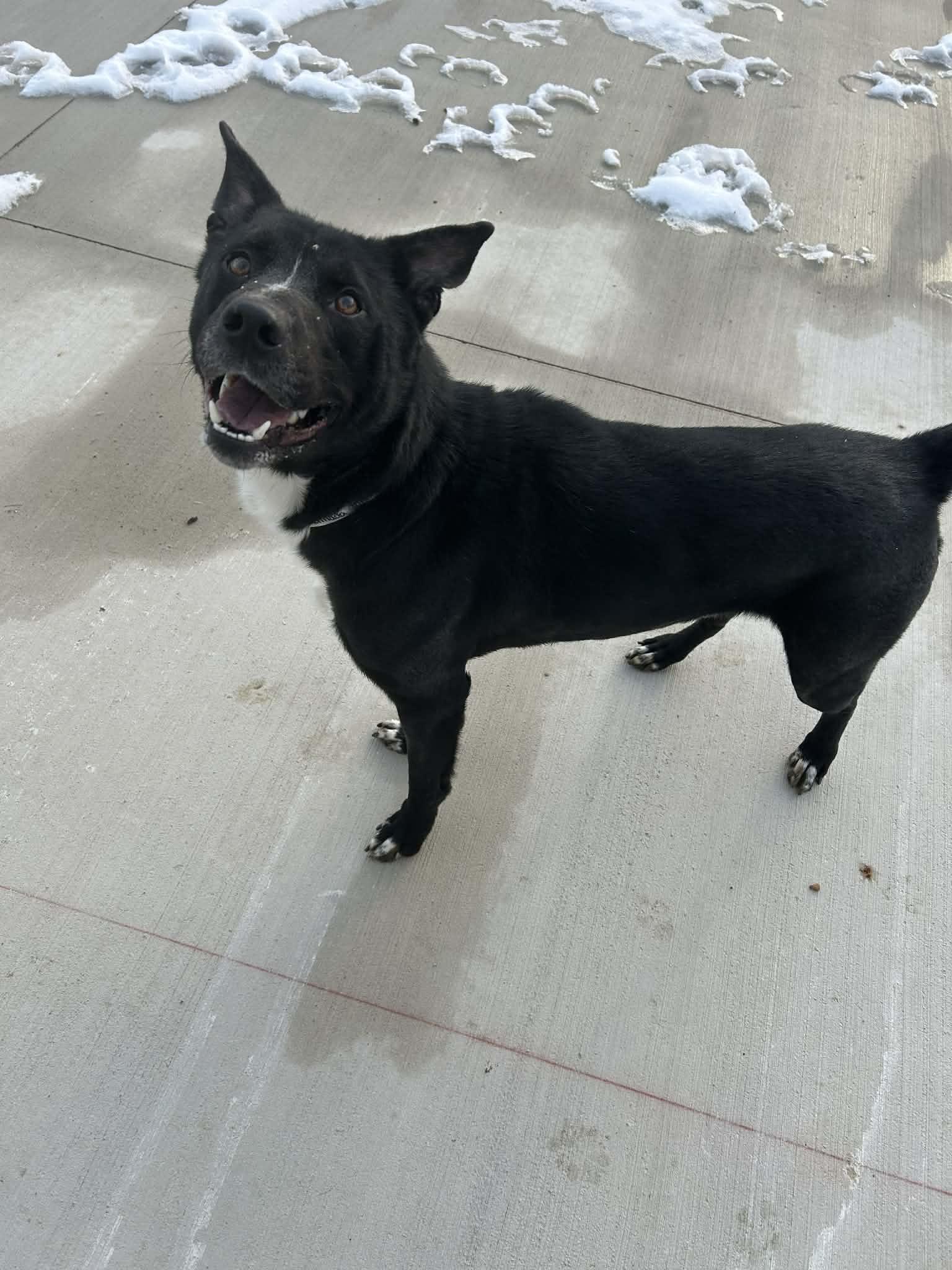 Encilada thumbnail 4