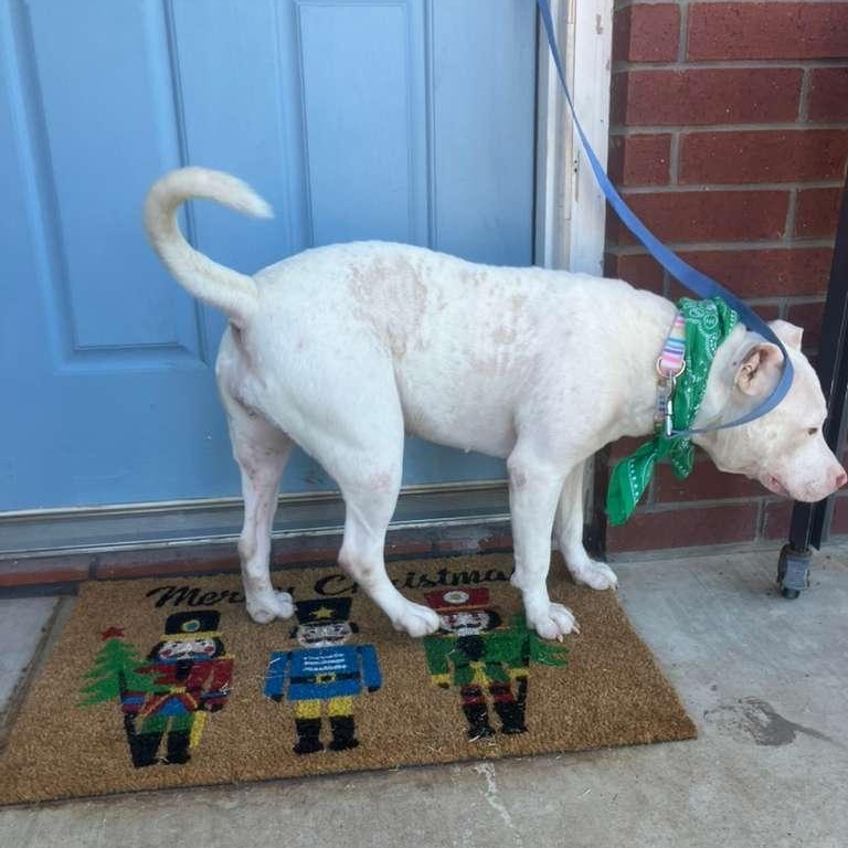 Sandy — thumbnail 2