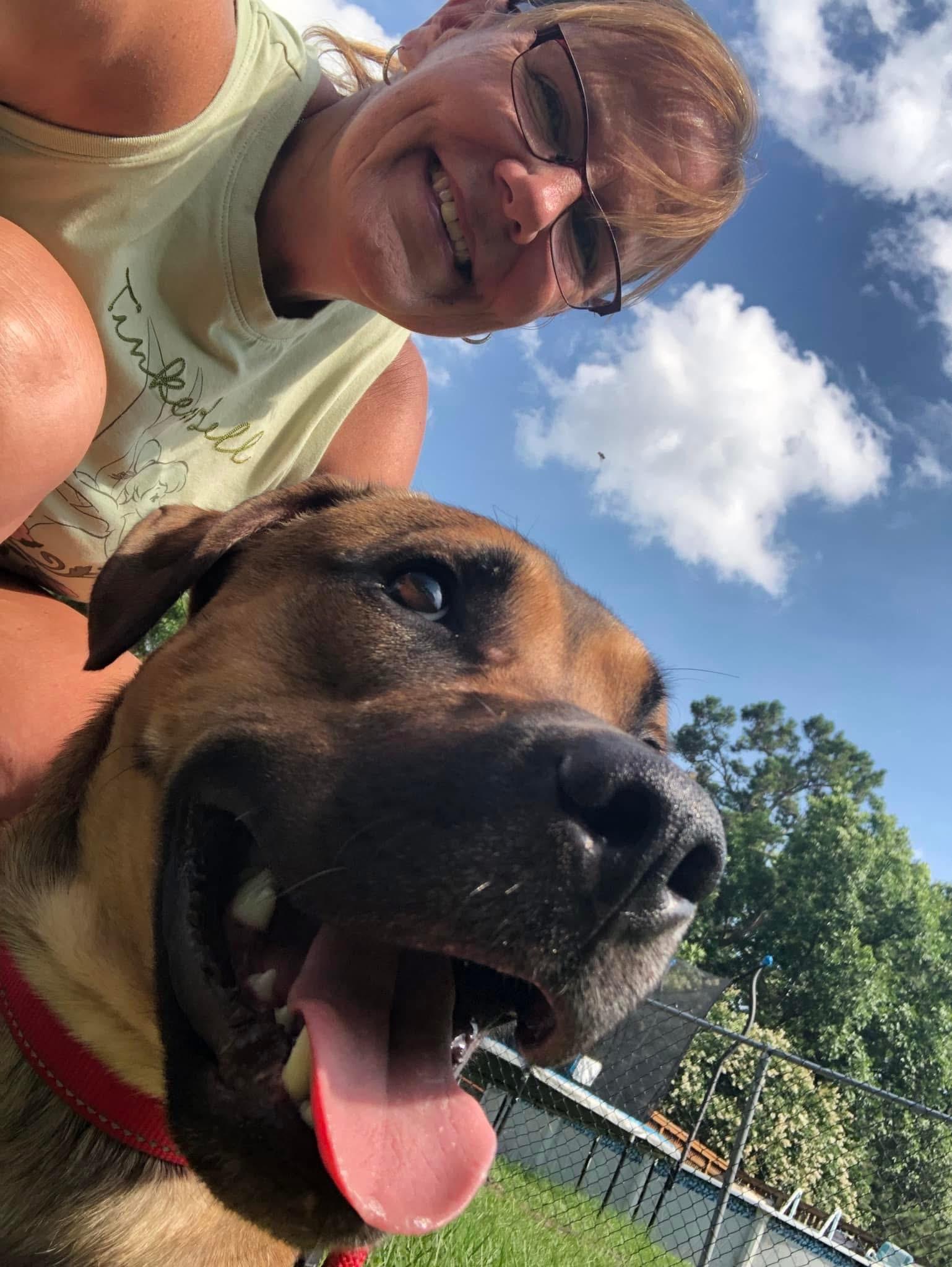 Russell, a Adopted Mixed Breed in Sanford, FL image 2/5