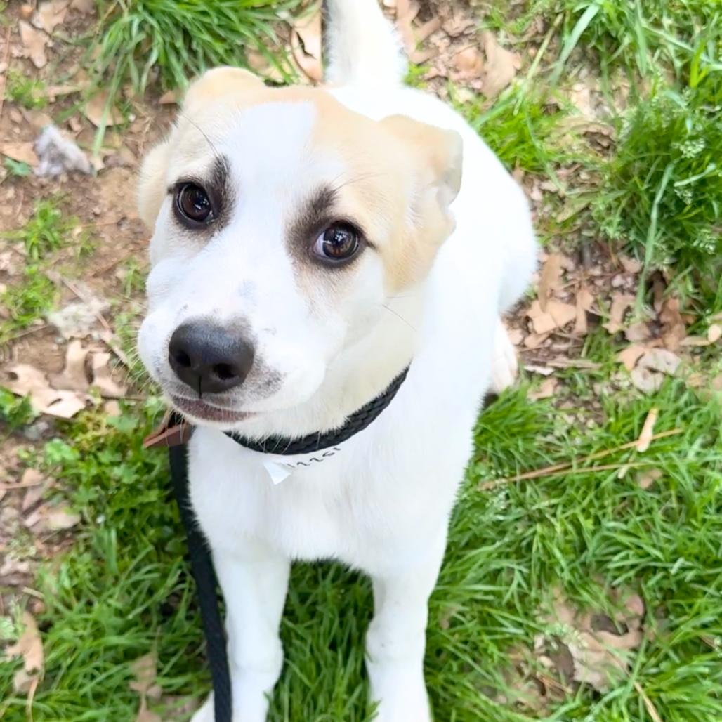 Dory — thumbnail 2