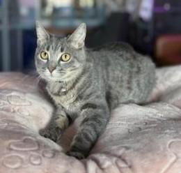 Sassy — thumbnail 5