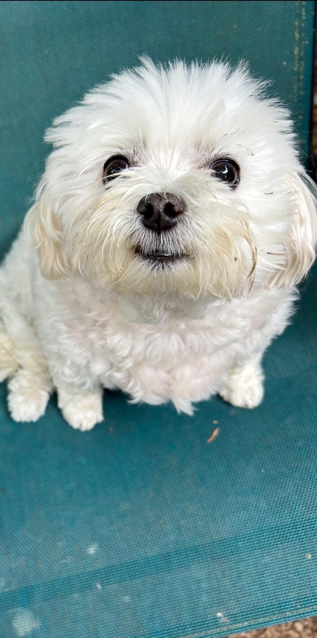 Mollie