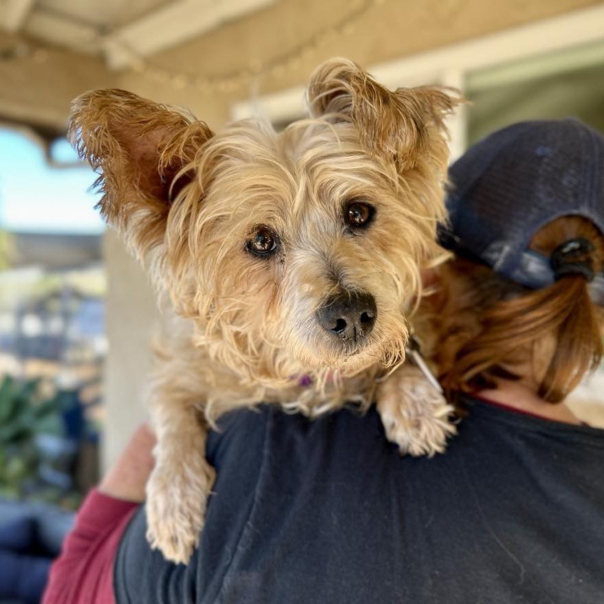 Missy Mowry thumbnail 2