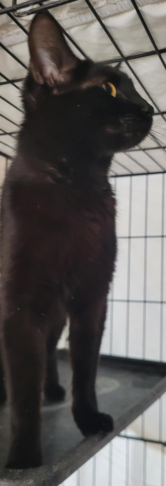 Elvira photo 2