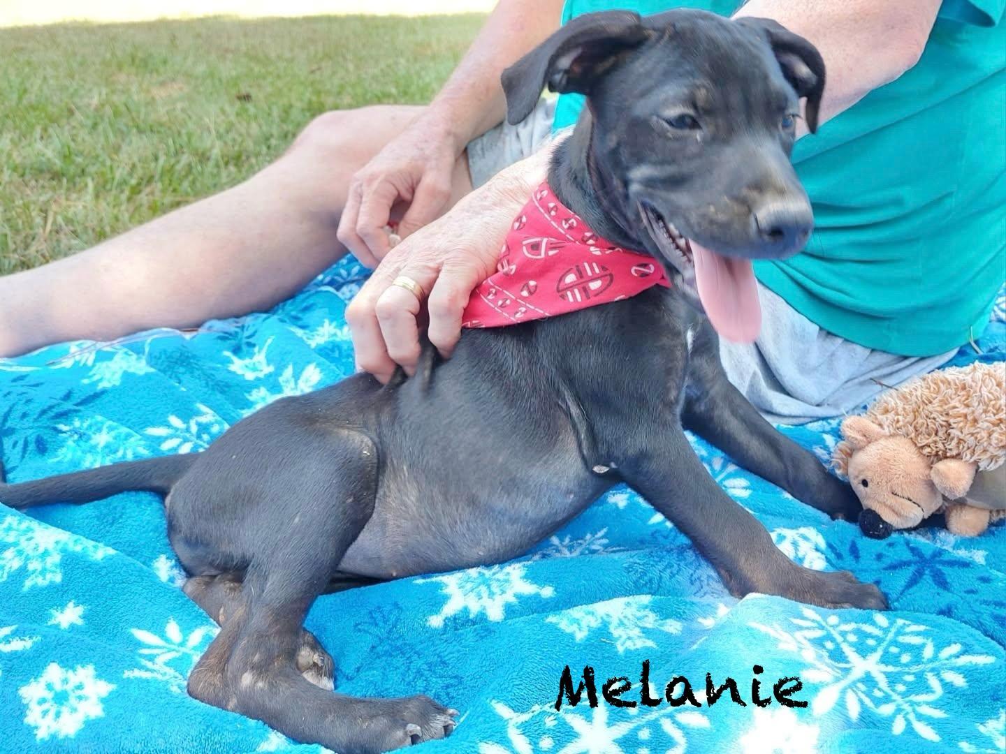 Melanie