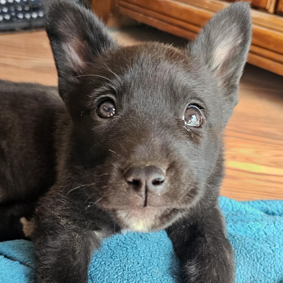 Judy — thumbnail 6