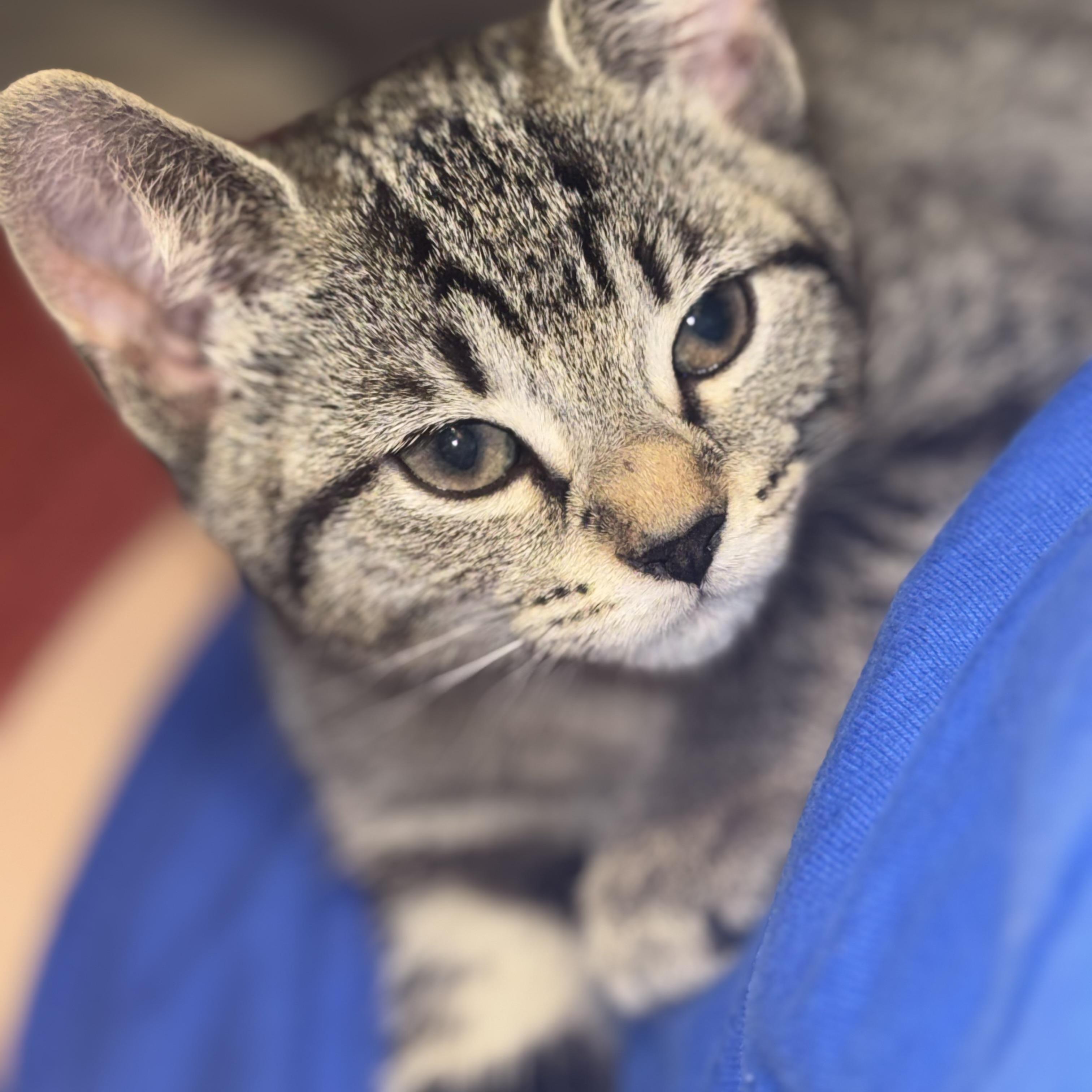 Summertime: Porgy thumbnail 2