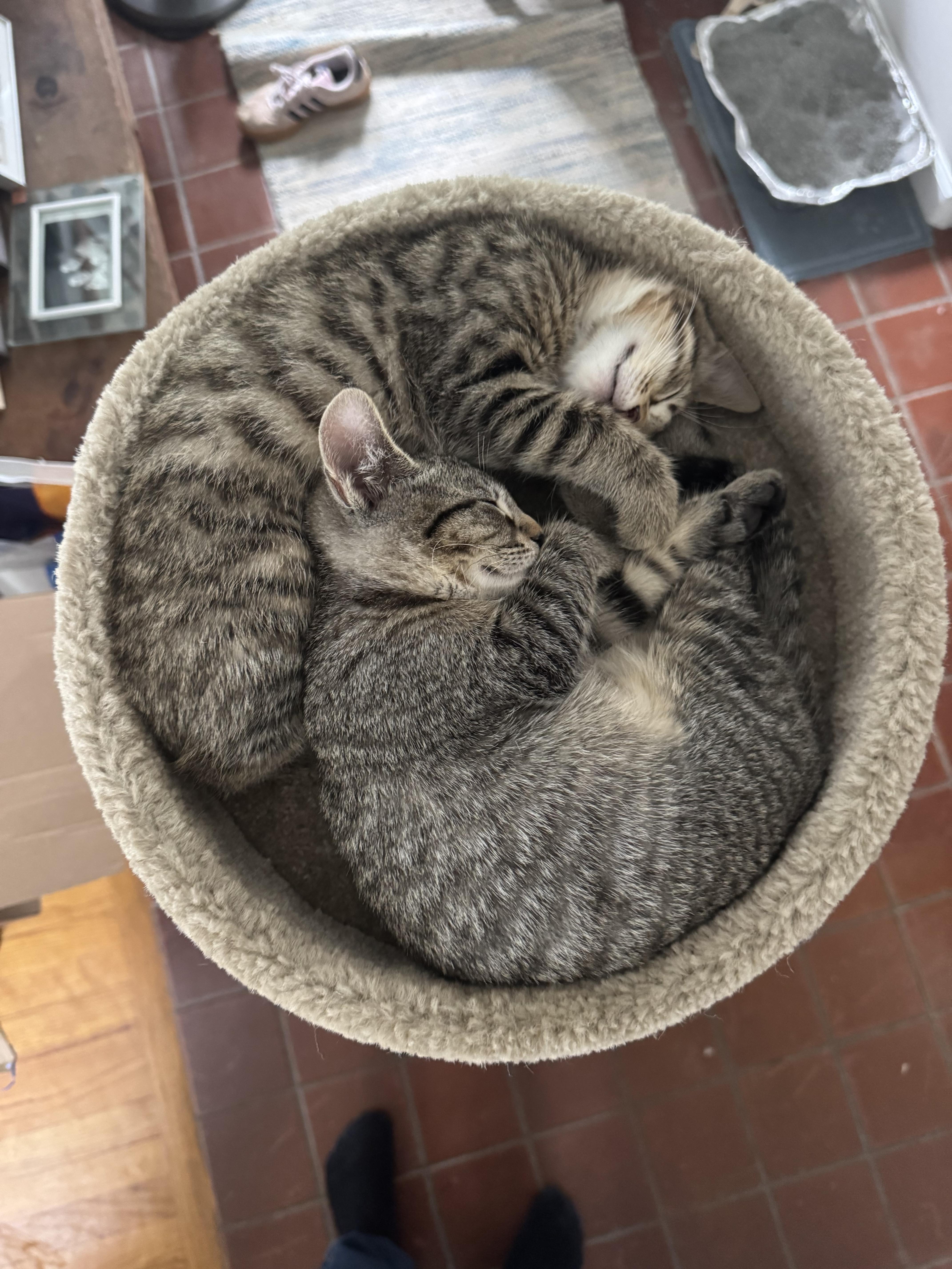 Summertime: Porgy thumbnail 6