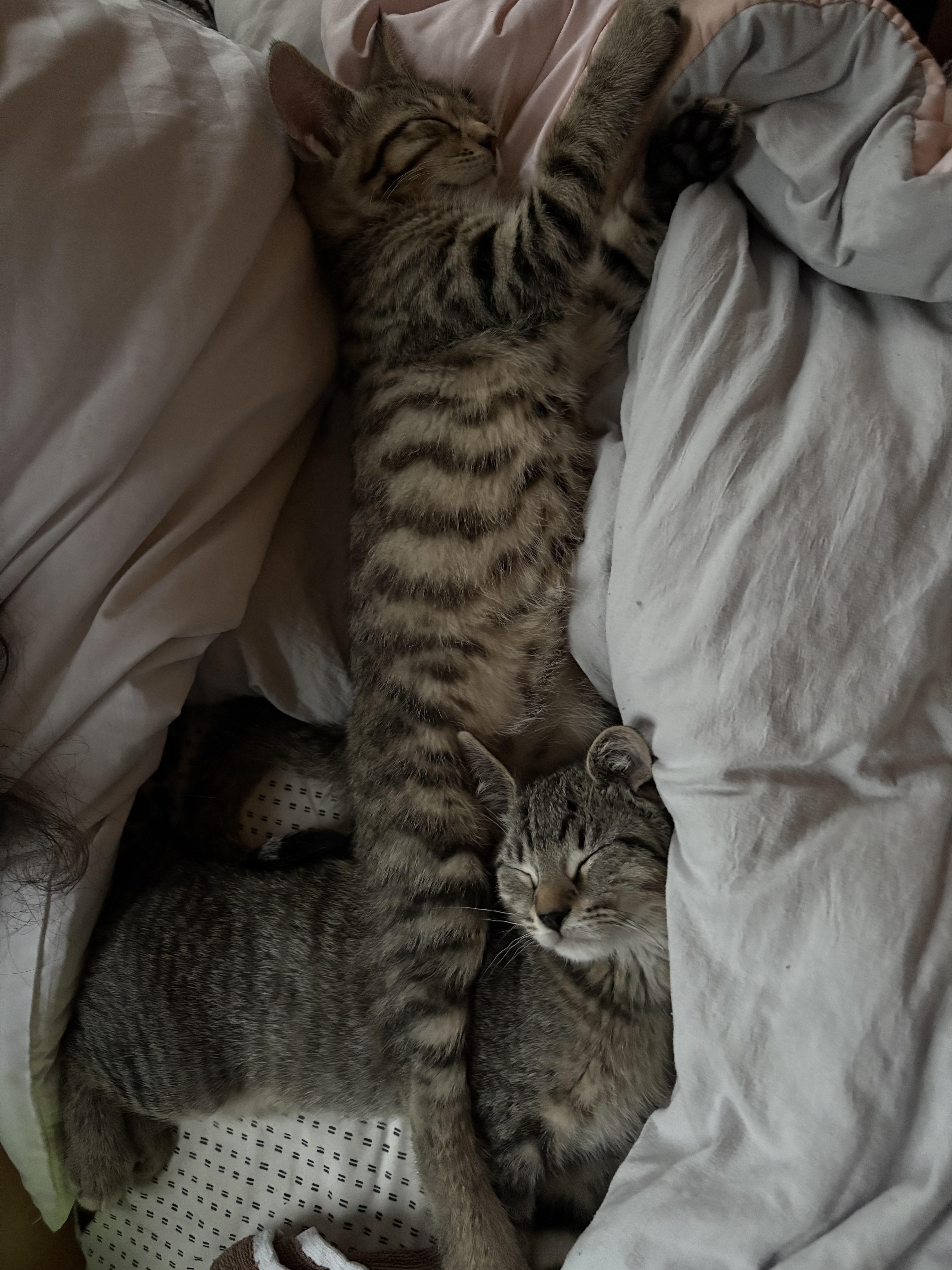 Summertime: Porgy thumbnail 4