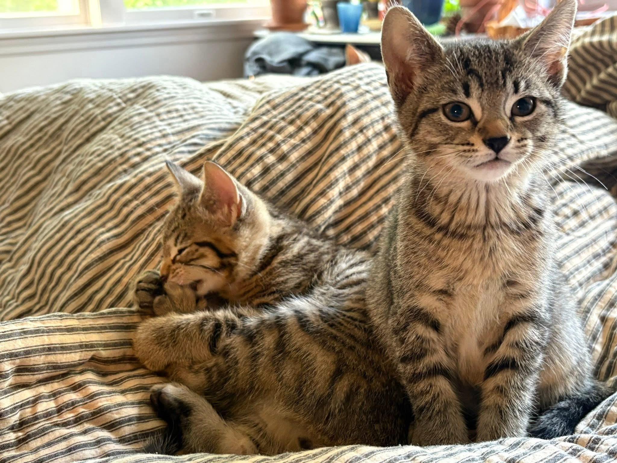 Summertime: Porgy photo 1