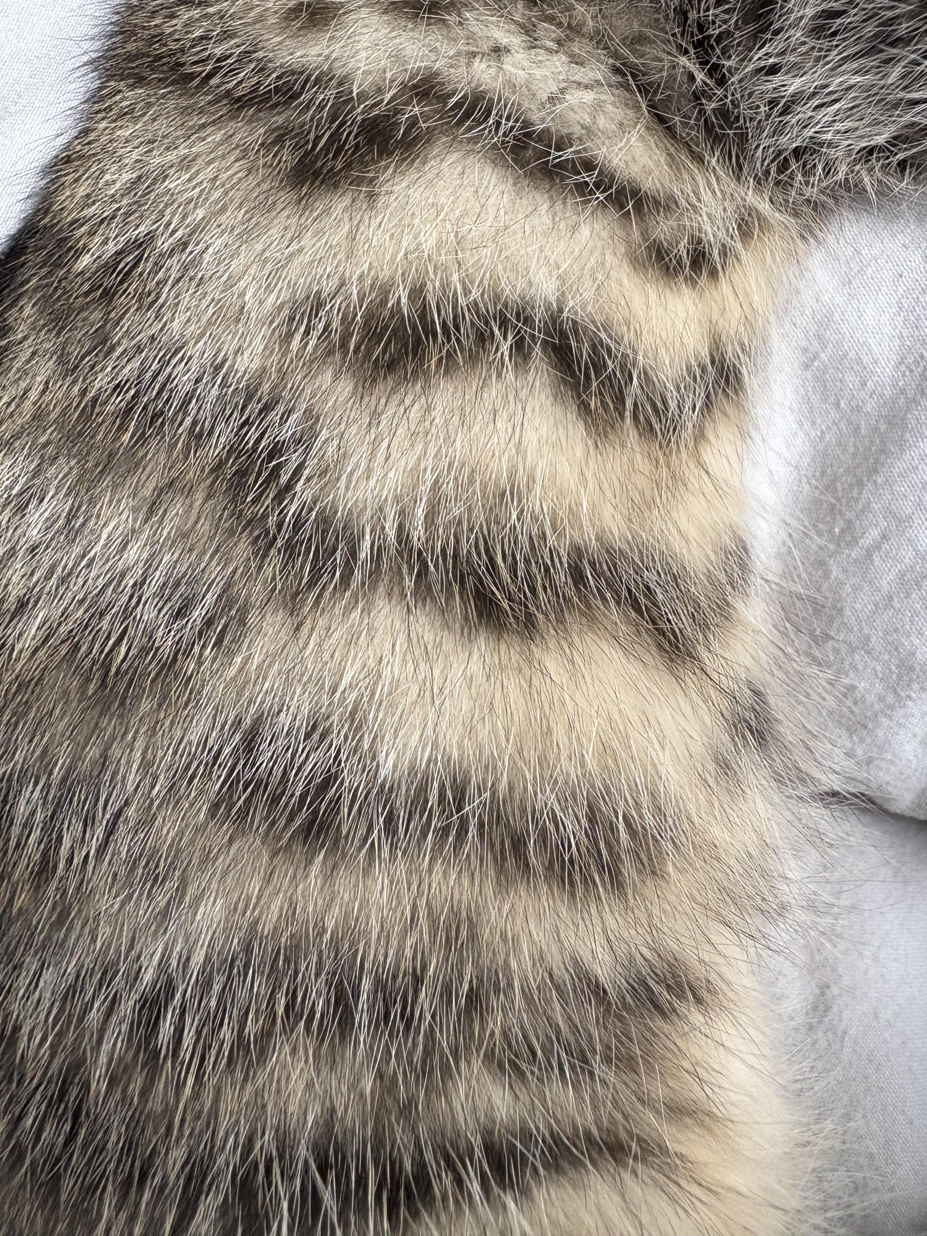 Summertime: Porgy thumbnail 5