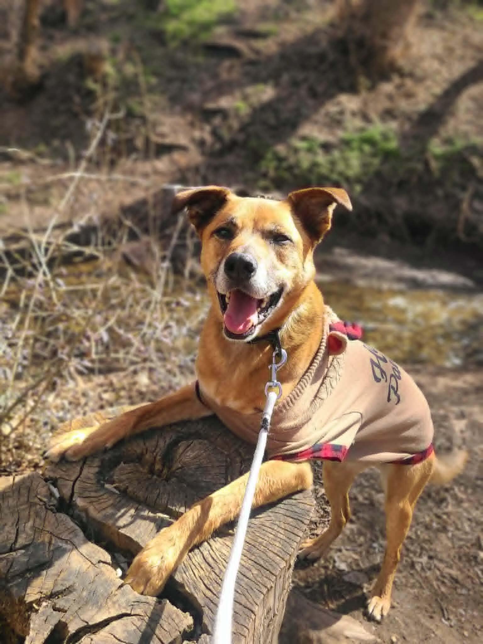 Little Man — thumbnail 2