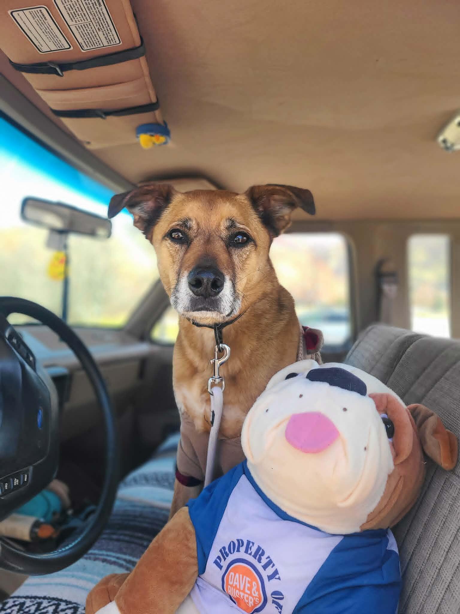 Little Man — thumbnail 3